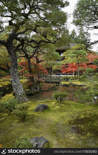 Beautiful fall colors in Ginkaku-ji Silver Pavilion during the autumn season in Kyoto, Japan