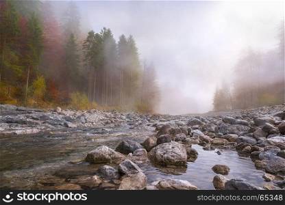 Beautiful fall landscape with a river going through stones, surrounded by forests in autumn colors and shrouded by a mystical mist.