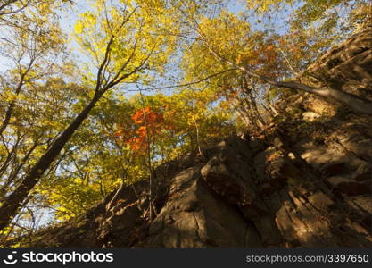 Beautiful Fall scenery in New York, USA.