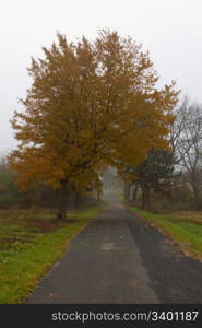 Beautiful Fall scenery in New York, USA.