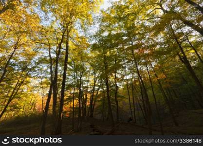 Beautiful Fall scenery in Upstate New York.