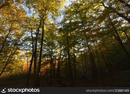 Beautiful Fall scenery in Upstate New York.