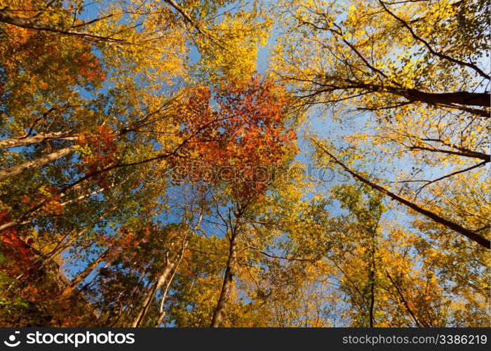 Beautiful Fall scenery in Upstate New York.