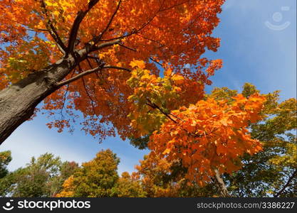 Beautiful Fall scenery in Upstate New York.