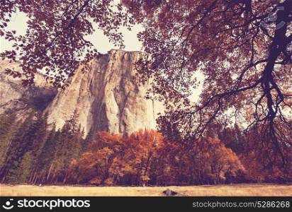 Beautiful fall season in Yosemite National Park,California, USA