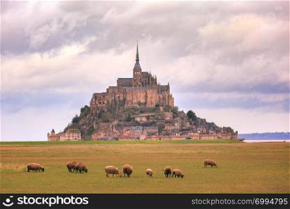 Beautiful famous tidal island Mont Saint Michel with sheep grazing on fields of fresh green grass in the cloudy day in summer, Normandy, France. Mont Saint Michel and sheeps, Normandy, France
