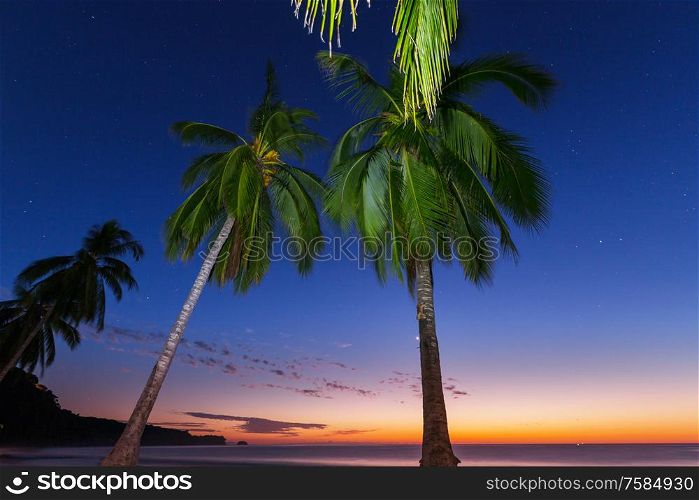 Beautiful fantasy tropical beach at the dark