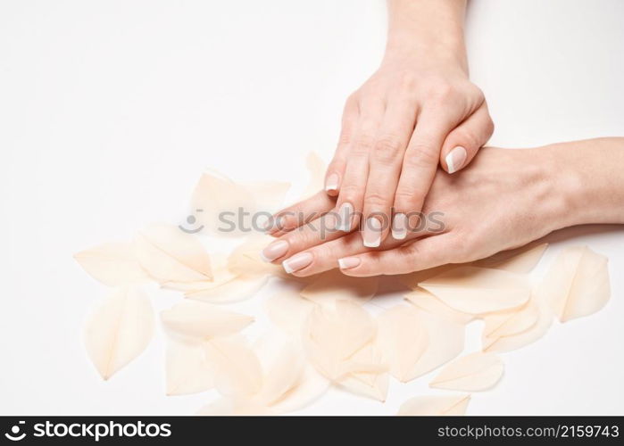 Beautiful Female Hands with French manicure and feathers over light grey background.. Beautiful Female Hands with French manicure and feathers over light grey background