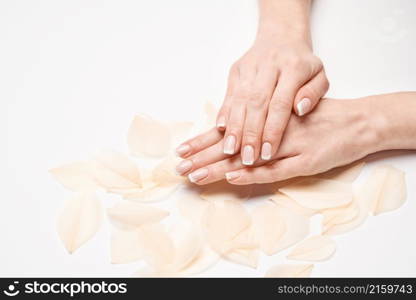 Beautiful Female Hands with French manicure and feathers over light grey background.. Beautiful Female Hands with French manicure and feathers over light grey background