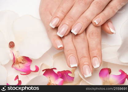 Beautiful Female Hands with French manicure over light grey background.. Beautiful Female Hands with French manicure over light grey background