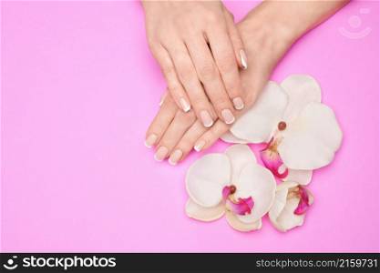 Beautiful Female Hands with French manicure over pink background.. Beautiful Female Hands with French manicure over pink background