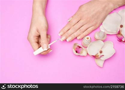 Beautiful Female Hands with French manicure over pink colorful background.. Beautiful Female Hands with French manicure over pink colorful background