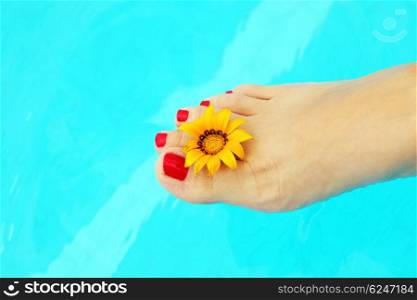 Beautiful female legs in the pool, conceptual image of vacation
