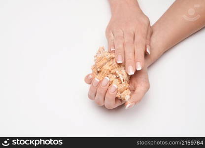 Beautiful Female well-groomed Hands with French manicure holding sea shell over light background.. Beautiful Female well-groomed Hands with French manicure holding sea shell over light background