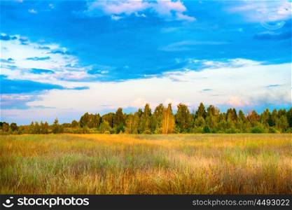 Beautiful field and forest with blue sky at sunset time. Countryside landscape