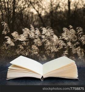 Beautiful fine art intimate landscape image of backlit reeds in Winter sun in pages of imaginary reading book digital composite