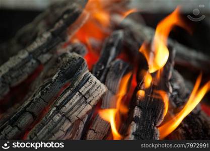 Beautiful fire with flames charred wood. Beautiful fire with flames charred wood.