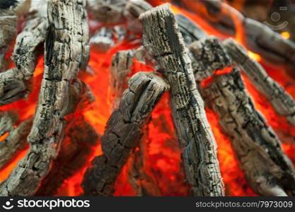 Beautiful fire with flames charred wood. Beautiful fire with flames charred wood.