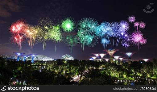beautiful firework over Gardens by the bay with light at night, Singapore