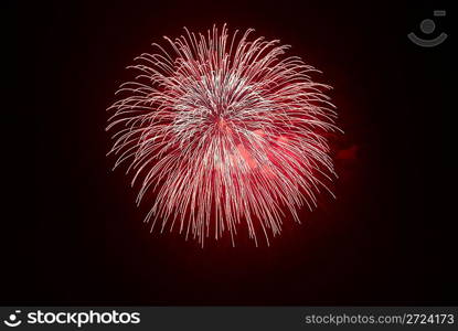 Beautiful fireworks on the black sky background