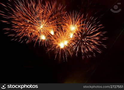 Beautiful fireworks on the black sky background