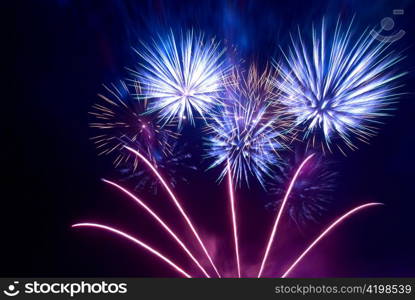 Beautiful fireworks on the black sky background