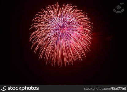 Beautiful fireworks on the black sky background