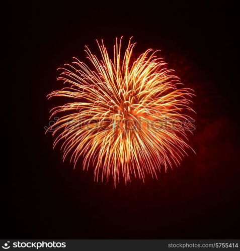 Beautiful fireworks on the black sky background