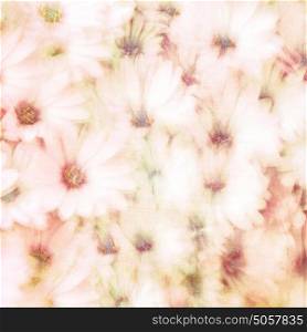 Beautiful floral background, abstract natural texture, gentle daisy flowers, fine art, blooming nature, tender flowery wallpaper
