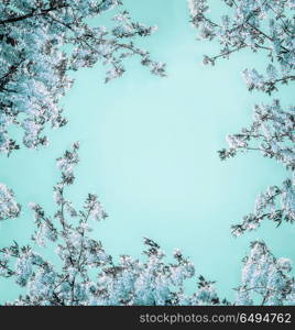 Beautiful floral background with blue blossom on light turquoise, frame. Creative nature flowers layout