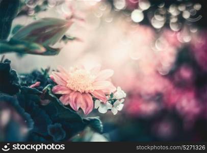 Beautiful floral background with bokeh, frame