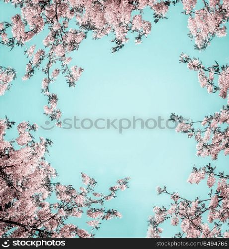 Beautiful floral background with pastel pink blossom on light turquoise, frame. Creative nature flowers layout