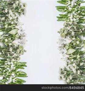 Beautiful floral frame layout with green flowers on white background, top view
