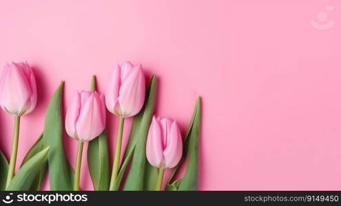 Beautiful floral set with spring tulip flowers on a pink background. Spring concept by generative AI