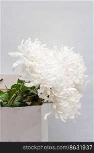 Beautiful flower concept, Bouquet of white blooming chrysanthemum in bag on grey background.
