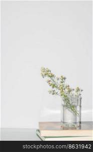 Beautiful flower concept, Inflorescence of blooming white cutter in vase on book on grey background.