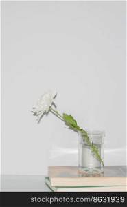 Beautiful flower concept, White blooming chrysanthemum in vase on the books on grey background.