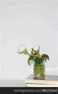 Beautiful flower concept, White blooming rose in vase on the books isolated on grey background.