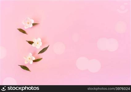 Beautiful flowers and leaves on light pink background.
