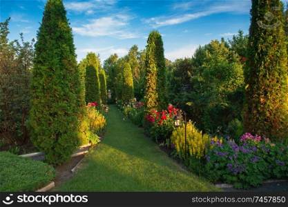 Beautiful flowers and trees landscape in the botanical garden in beauty summer evening. Horizontal orientation. in the botanical garden