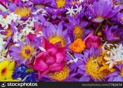 Beautiful flowers background natural texture