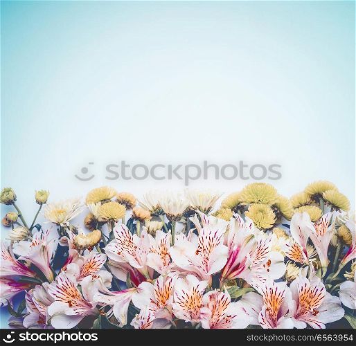 Beautiful flowers border on pastel blue background. Floral layout with copy space for your design