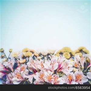 Beautiful flowers border on pastel blue background. Floral layout with copy space for your design