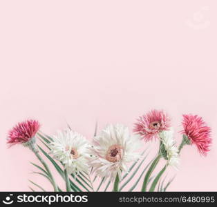 Beautiful flowers bunch of gerbera at pastel pink background, front view
