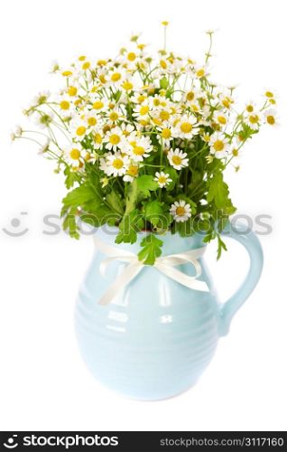 Beautiful flowers in a vase on white background