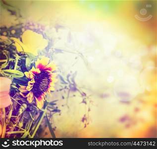 Beautiful flowers in sun blure, autumn or summer nature background, toned