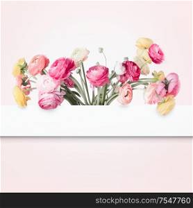 Beautiful flowers layout with white frame on pastel pink background. Creative concept. Copy space for your design. Pretty colorful buttercups. Greeting card for womans holidays