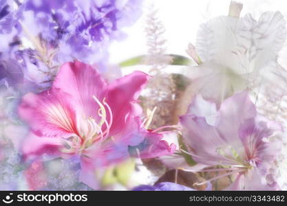 beautiful flowers made with soft focus