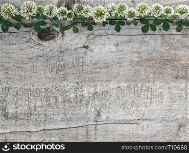 Beautiful flowers of clover lying on unpainted boards. Solemn event. Place for your inscription. Top view, close-up. Congratulations to loved ones, family, relatives, friends and colleagues. Beautiful flowers of clover lying on boards