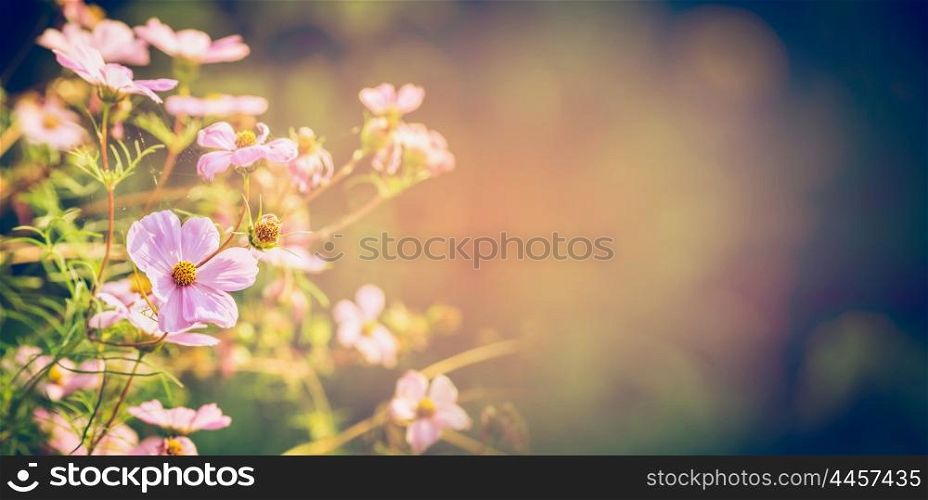 Beautiful flowers on garden or park nature background, banner